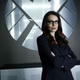 Image for article titled First Looks at Captain America's Agent 13 and SHIELD's Victoria Hand!